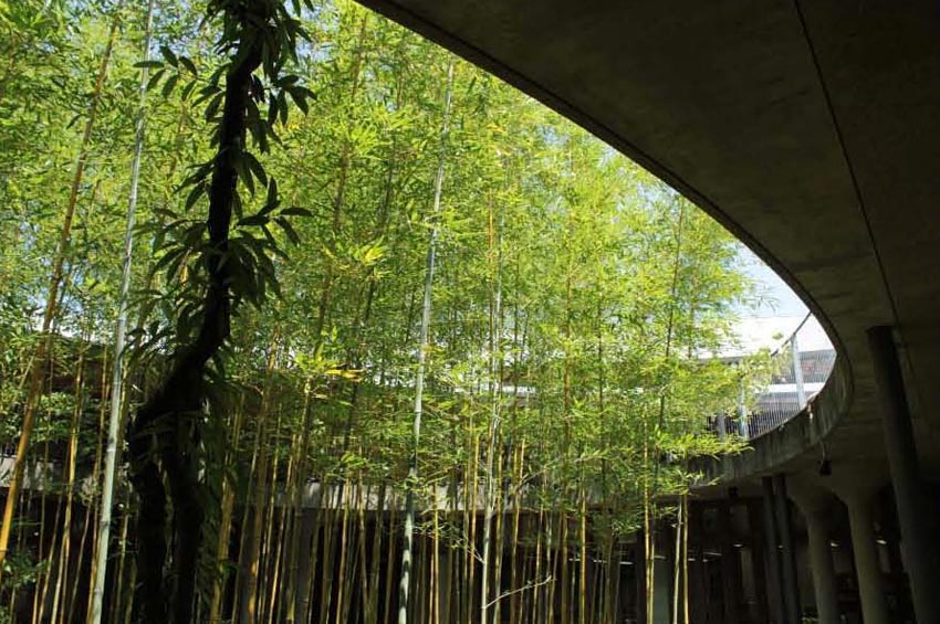 Makino Museum of Plants / Hiroshi Naito