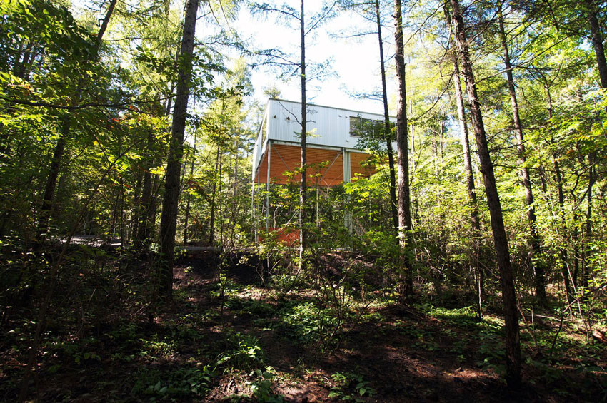 Exterior View - Pilotis in a Forest House / Go Hasegawa