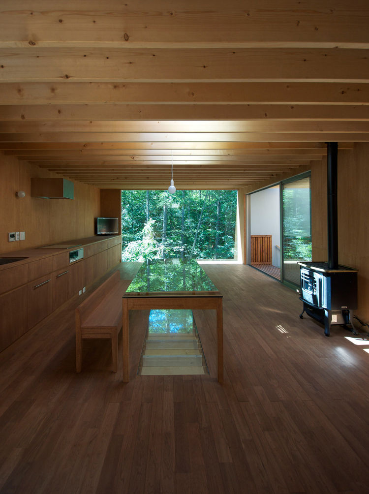 Pilotis in a Forest House / Go Hasegawa