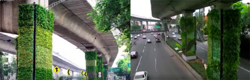 The Vertical Gardens of Mexico City Highway
