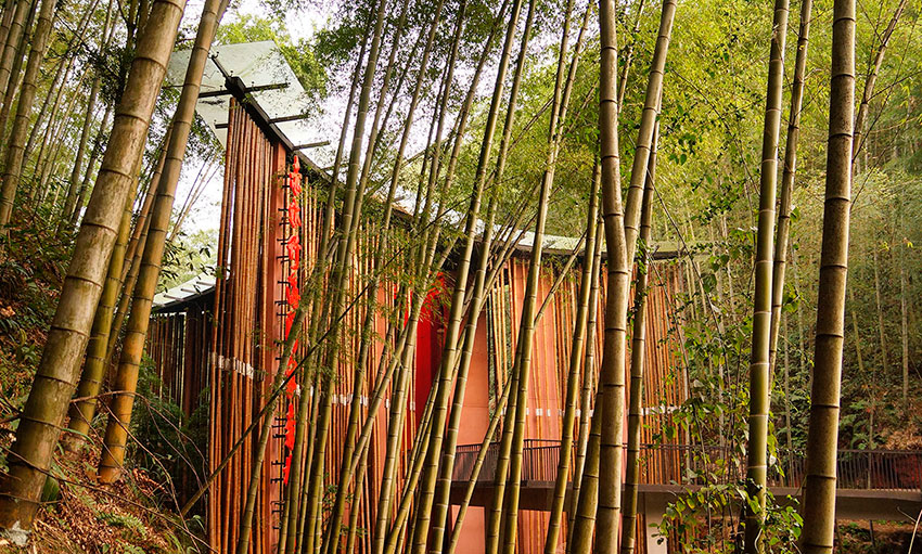 Bamboo Gateway / West-line-studio