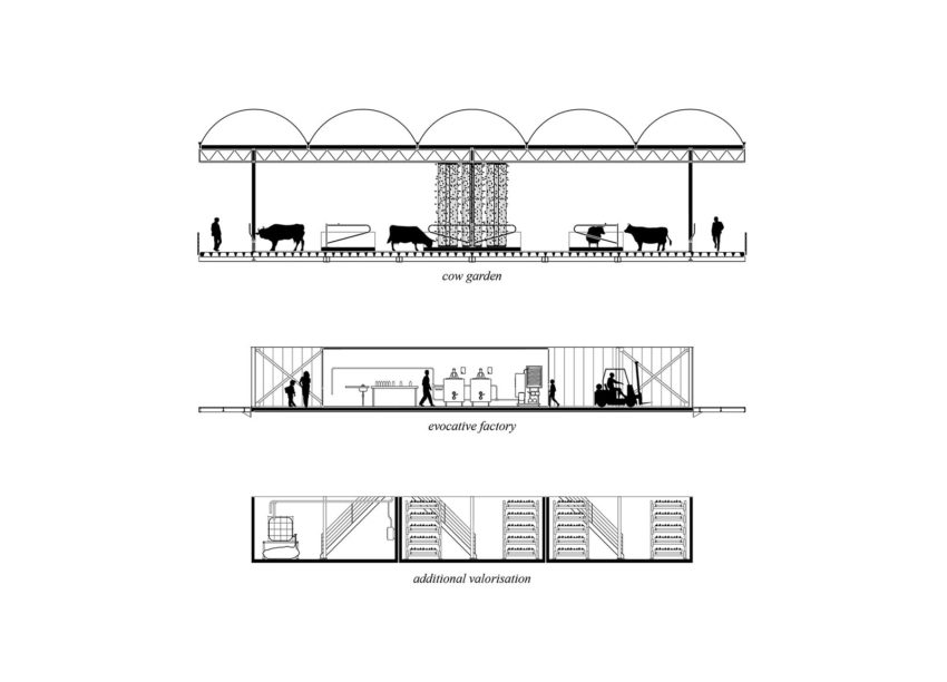 Conceptual Section of Farm by GOLDSMITH Company.