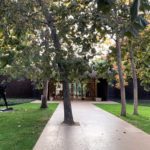 Trees -Norton Simon Museum in Pasadena / Ladd & Kelsey Architects