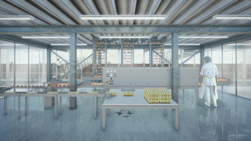 Floating Farm Poultry in Rotterdam / GOLDSMITH Company
