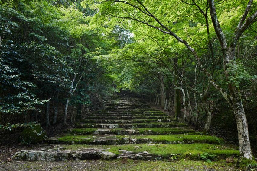 Garden - Aman Kyoto Resort / Kerry Hill Architects