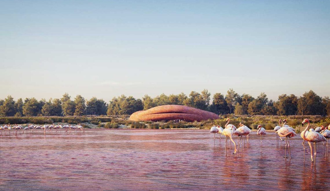 Abu Dhabi Flamingo Visitor Center / petrjanda/brainwork