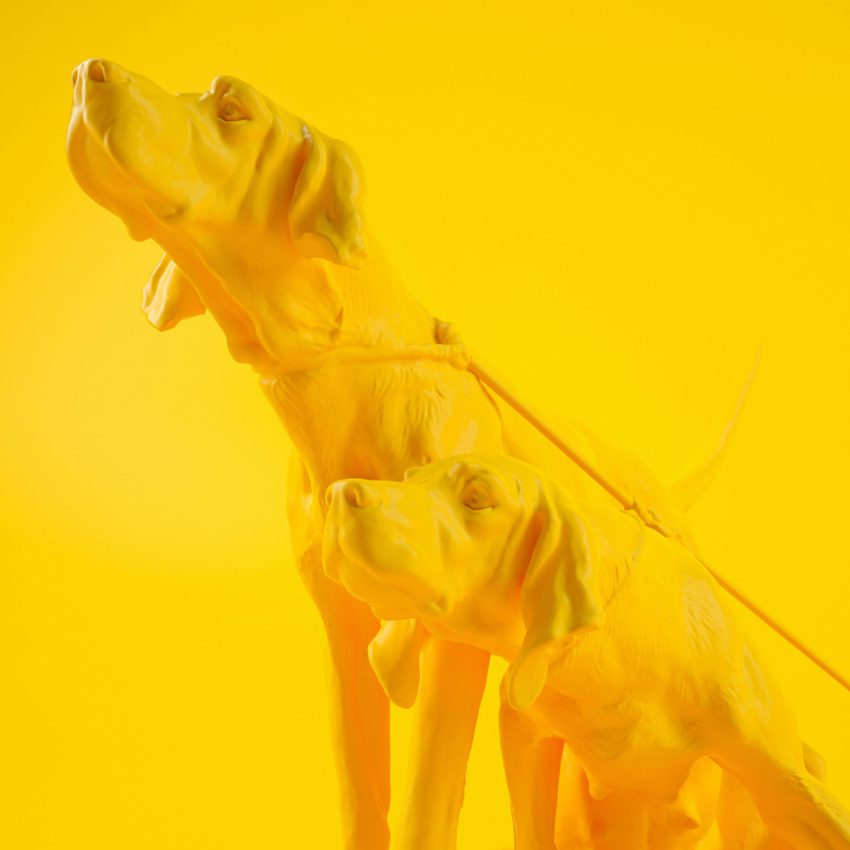 Yellow Dog Image. All yellow