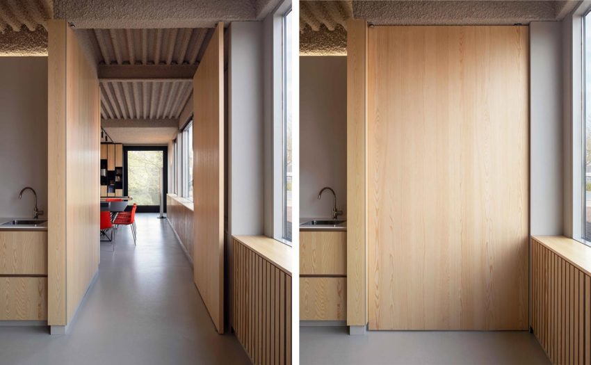 Wood Modern Pivot door