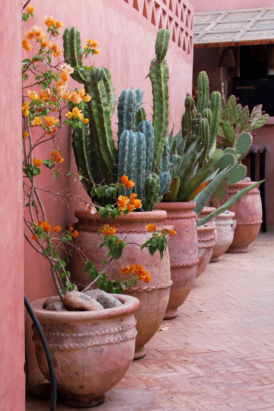 Pink Patio - Summer Decoration - jessica kantak bailey RBbKp MtI unsplash