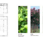 Plant Selection on Terrace Garden Wondfo Shenzhou Road Campus Atelier L Campus