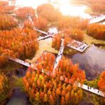 Fish Tail Park The Floating Forest Nanchang City Turenscape Architects ArchEyes