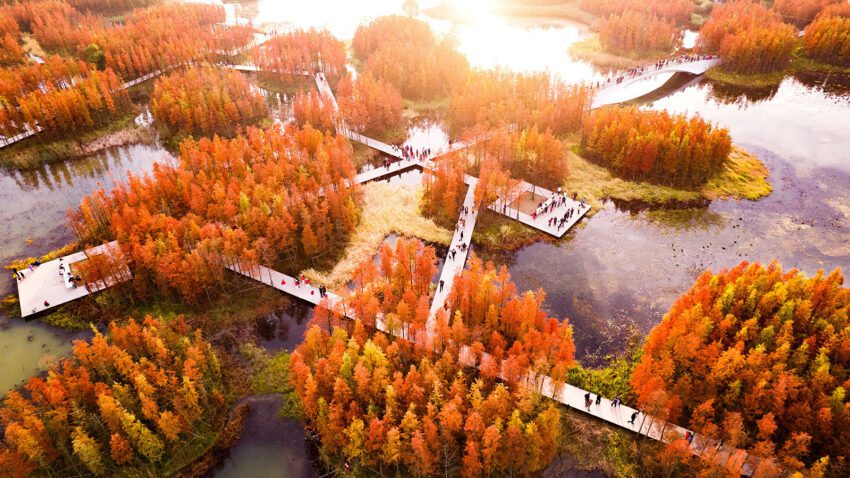 Fish Tail Park The Floating Forest Nanchang City Turenscape Architects ArchEyes