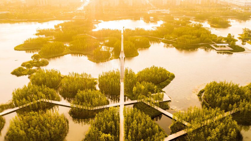 Fish Tail Park The Floating Forest Nanchang City Turenscape Architects ArchEyes