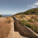 Liknon K Studio Metaxa Heritage Samos Greece Landscape ArchEyes narrow