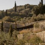 Liknon K Studio Metaxa Heritage Samos Greece Landscape ArchEyes vegetation
