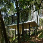 Lily House Brazil Tetro Architecture Glass House ArchEyes