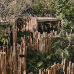 Hotel Bardo Taller de Arquitectura Viva Tulum Mexico Design Nature ArchEyes exterior