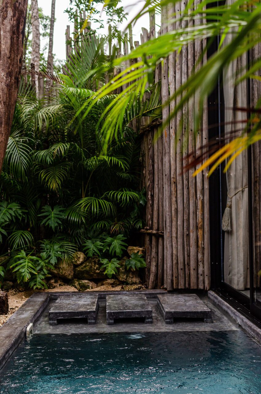 Hotel Bardo Taller de Arquitectura Viva Tulum Mexico Design Nature ArchEyes pool
