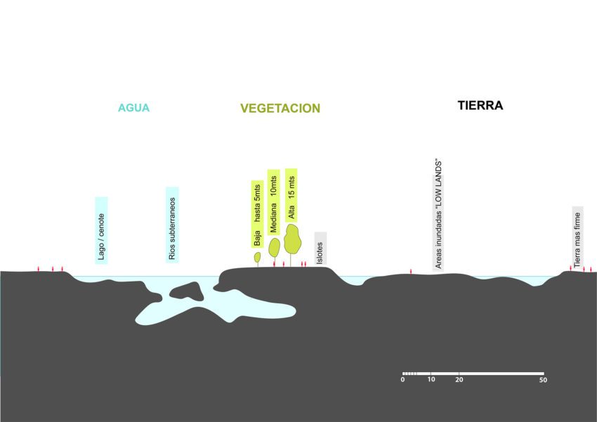 Ciudadela Jardin by Yaaxka Design Conscious Living in Tulum Mexico ArchEyes Master Plan Section