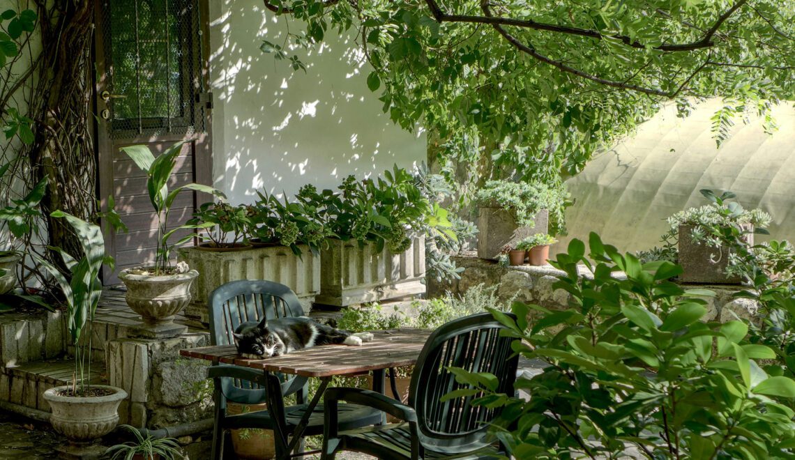 Green patio | Photograph by robin wersich