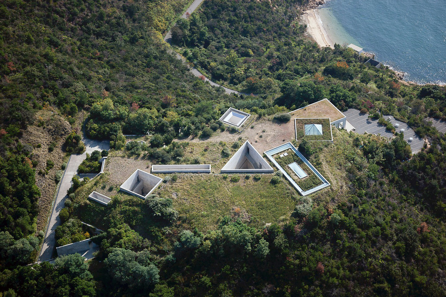 Amazon.co.jp: TADAO ANDO 直島 安藤忠雄 サイン 限定 地中